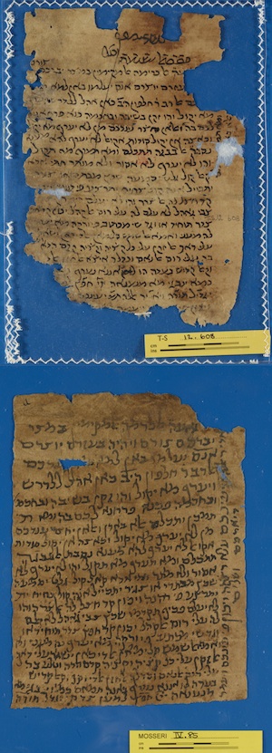 The two letters, with the final copy above (T-S 12.608) and the draft copy below (Mos.IV.85)