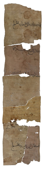 Back of the manuscript