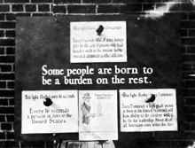 Photograph of a 1920s American Eugenics Society exhibit