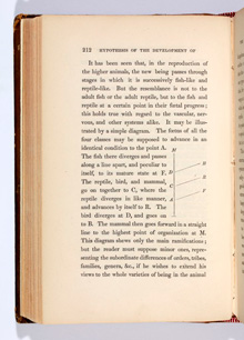 Robert Chambers, Vestiges of the Natural History of Creation (1844)