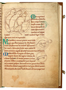 An early thirteenth-century English bestiary