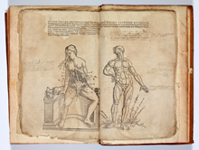 From Omnium humani corporis…(1641), an anatomical booklet made up of woodcut illustrations 