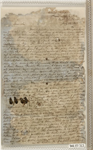 letter with bees