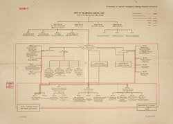 Organisation plan of the Directorate of Special Intelligence
