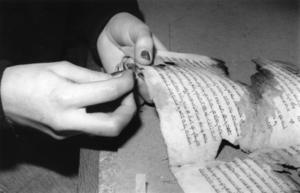 hand and manuscript