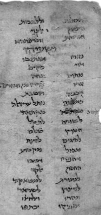 Two columns from the manuscript
