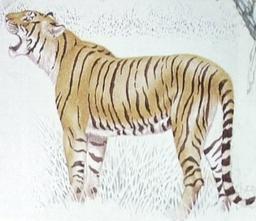 drawings of animals found in North East India - Exploratour